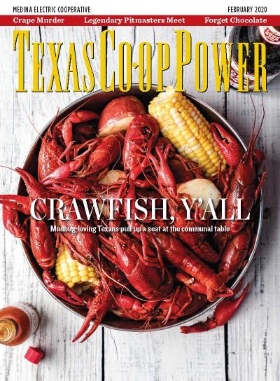 February TCP Cover